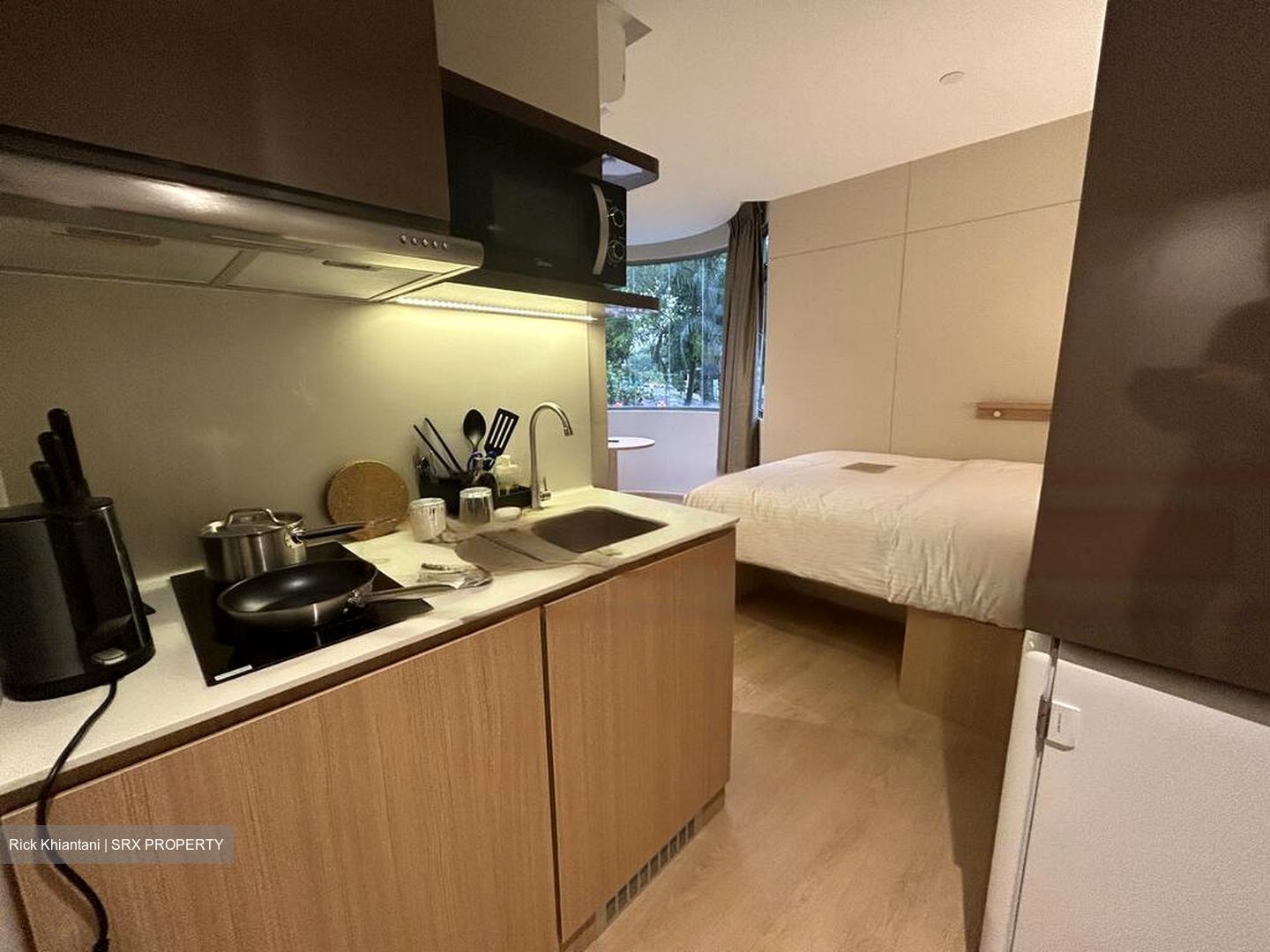 Mount Elizabeth Link (D9), Condominium #484100481